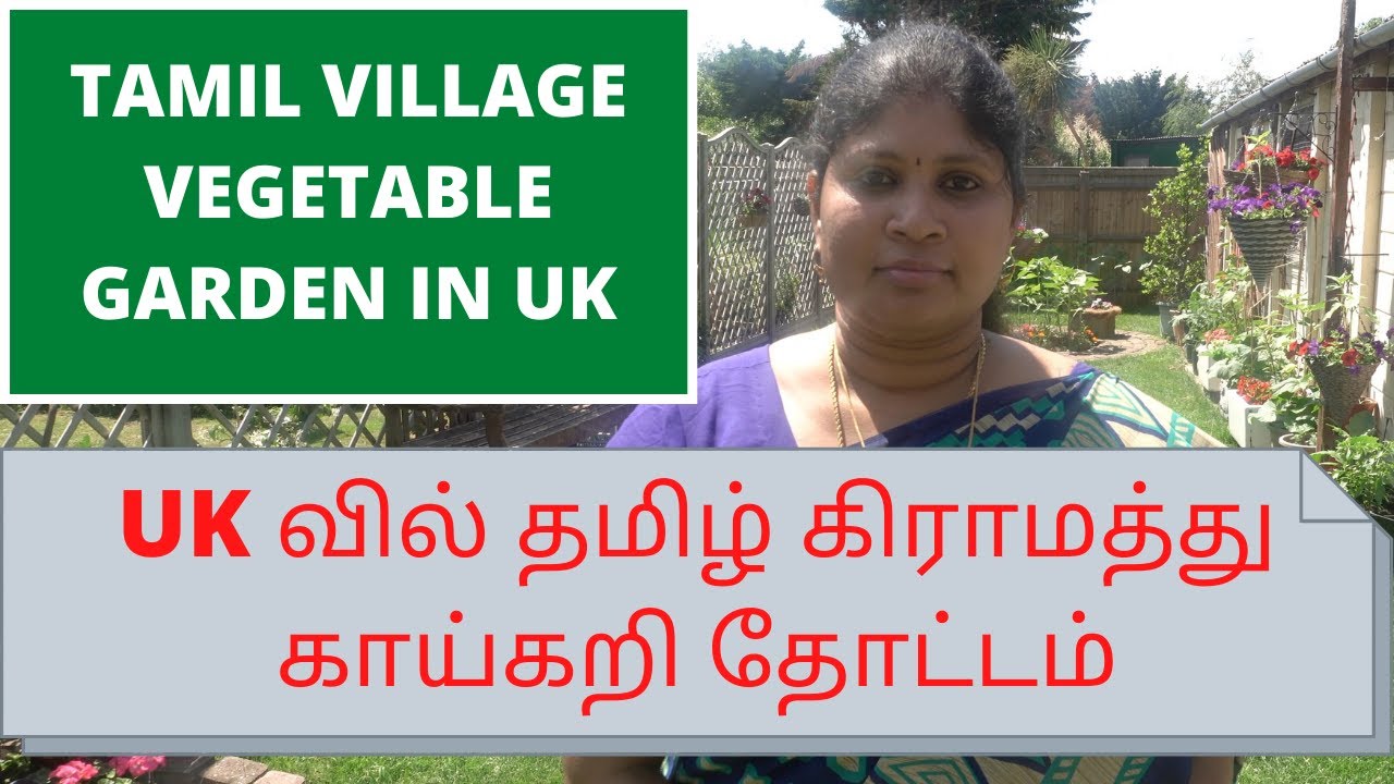 Tamil Vegetable And Flower Garden In Uk Kayal Uk Tamil Garden Garden Tour Gardening Vlogs Youtube