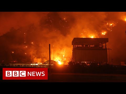 Wildfires devastate Turkey and Greece in 'worst fire crisis in a decade' - BBC News