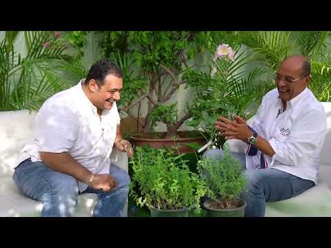 ايه هو البردقوش وايه الفرق بينه وبين الزعتر