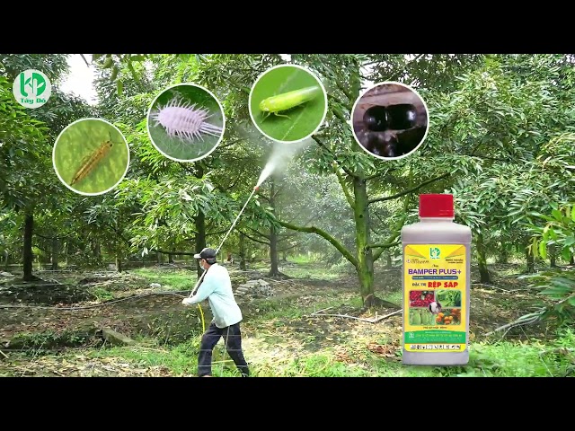 💥💥Bamper Plus+ 💥💥