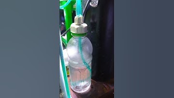 Thumbnail of Kata siapa Co2 Ragul tidak tembus diffuser kaca ! ini Faktanya #aquascape #ragul #co2diyragul