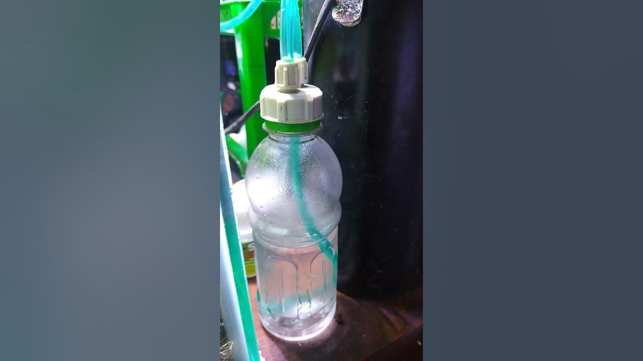 Kata siapa Co2 Ragul tidak tembus diffuser kaca ! ini Faktanya #aquascape #ragul #co2diyragul