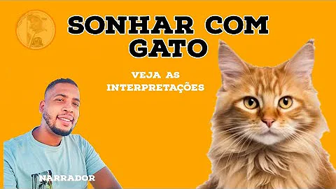 O que significa sonhar com muitos filhotes de gatos?
