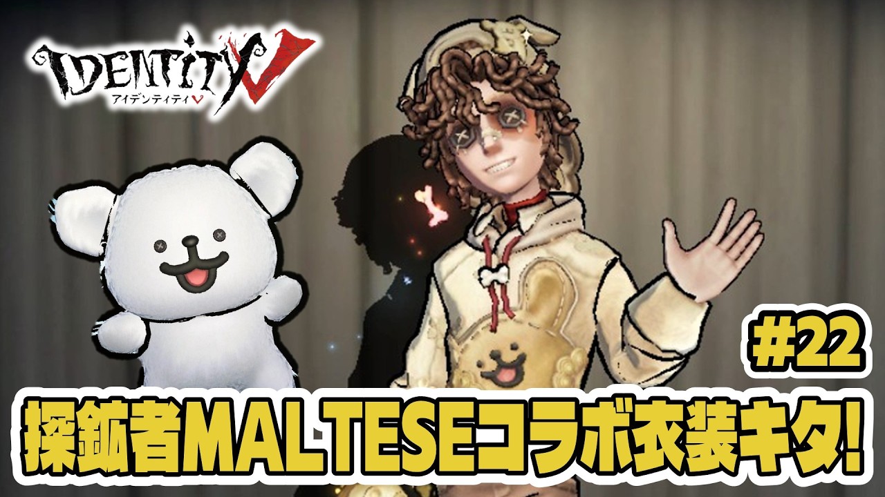 【第五人格】探鉱者のMALTESEコラボ衣装キター！可愛すぎる犬は入手出来てないけど弁護士で逃げる！