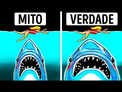 Vídeo: Mentiras Dos Dentes: Os 5 Principais Mitos Sobre Tubarões - Visão Alternativa
