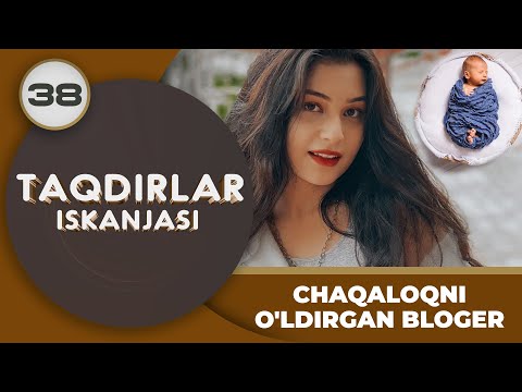 CHAQALOQNI O'LDIRGAN BLOGER