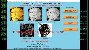 Papaya Fruit Disease Detection Using CNN | With Source Code | Papaya Fruit Disease Classification