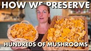 This Is How We Preserve Our Wild Mushroom Harvest