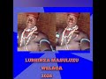 Lubhinza Masulizu Welaga Official Audio 