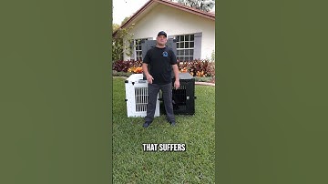 The Best Dog Crates on the Market