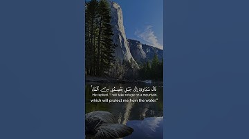 القارئ: ماهر المعيقلي السوره: هود(41-44)