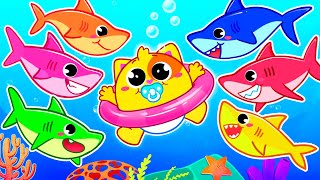 Little Baby Sharks for Kids | Funny Songs For Baby & Nursery Rhymes by Toddler Zoo