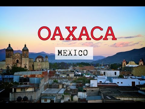 the-best-place-for-food-in-mexico?-(oaxaca-guide)