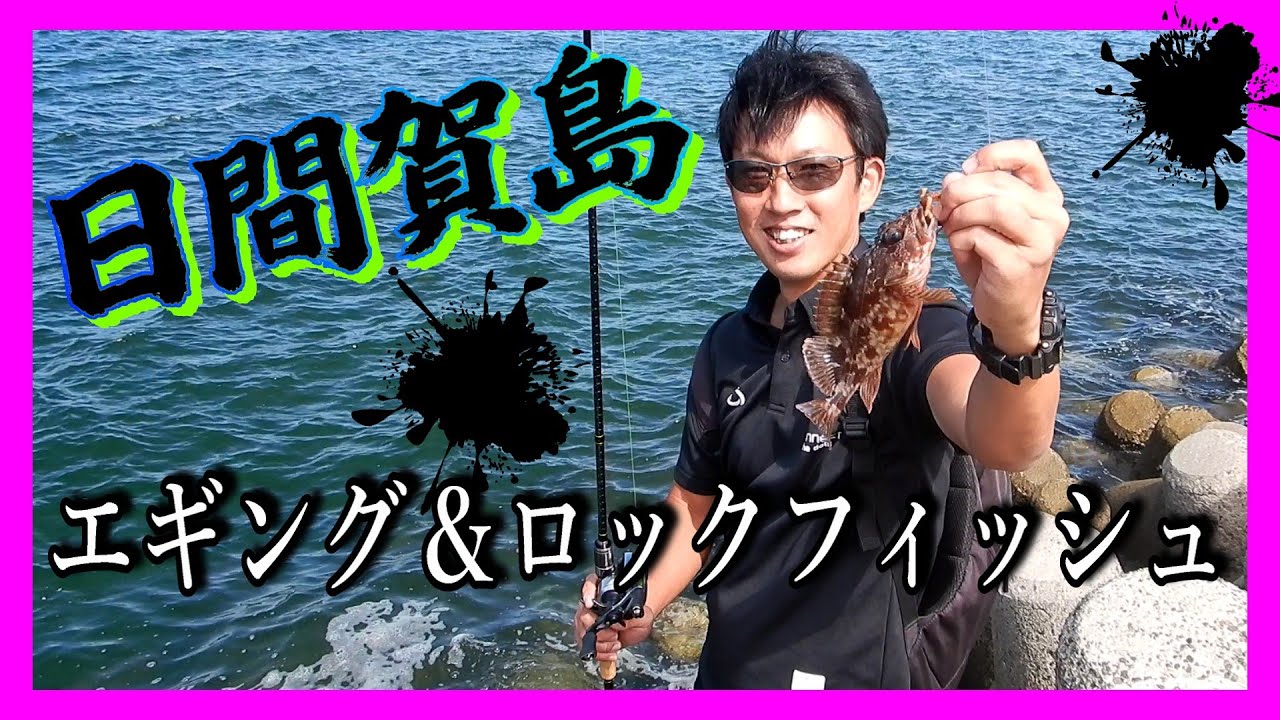 日間賀島【エギング&ロックフィッシュ釣行】記録