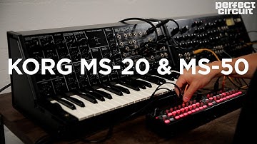 Vintage Korg MS-20 & MS-50 Synthesizer Jam