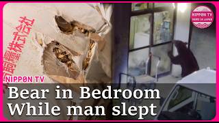 Bear breaks into bedroom while man sleeps in Japan