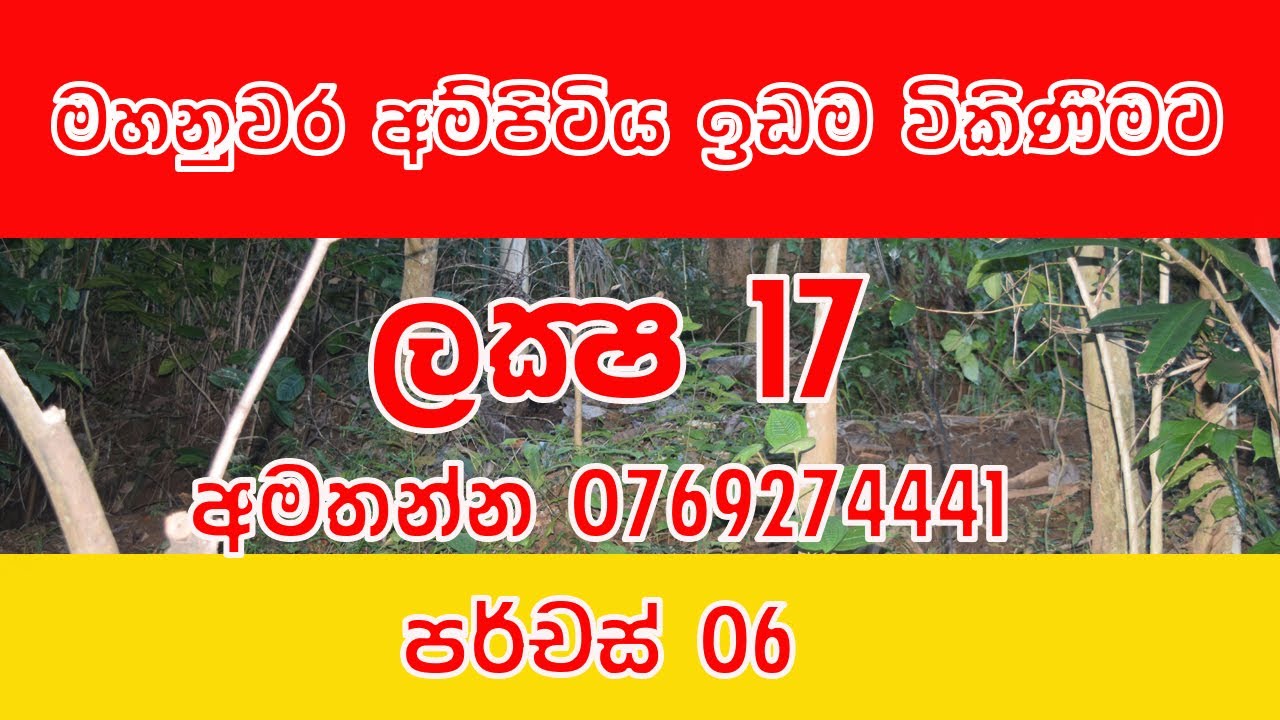 මහනුවර අම්පිටිය පර්චස් 6 ක ඉඩම විකිණීමට | Kandy Ampitiya Land for sale