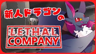 【新人Vtuber】ドラゴンやばそうな会社に入社する！！【元吸血鬼ドラゴン系Vtuber】