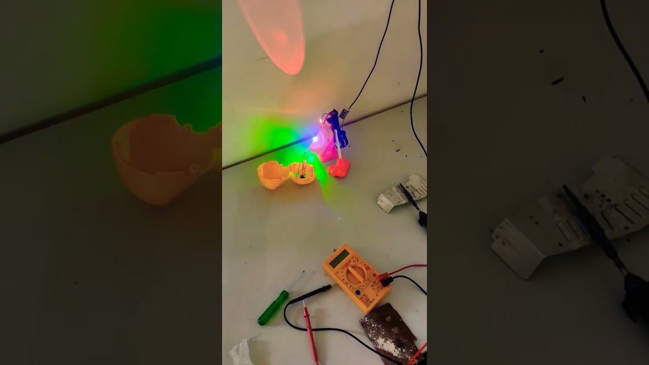 dancing duck toy repair 😸