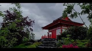 japanese garden / krasnodar / японский сад / краснодар