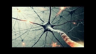 Athene s Theory of Everything