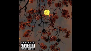 Melodic Type Beat Birds Smooth Rap Beat Chill Freestyle Trap Beat