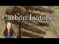 Carbon Isotopes and Their Role in Paleoclimate Studies