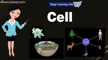 Cell | Introduction to Cell | Cell Theory | Cell Structure | Basic Tenets of Cell Theory | Science