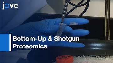 Bottom-Up & Shotgun Proteomics To Identify Comprehensive Cochlear Proteome l Protocol Preview