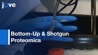 Bottom-Up & Shotgun Proteomics To Identify Comprehensive Cochlear Proteome l Protocol Preview