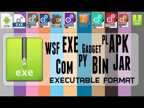 understanding  Executable file standard extension file format