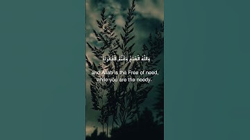 سورة محمد آيه 37 و38 #shortvideo #اكسبلور #surakahf #animation #suraalkahf #تيك_توك #القران #قران