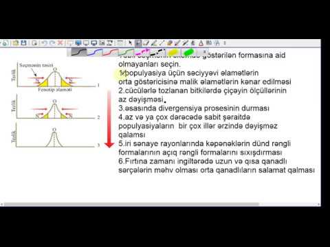 Təkamül təlimi.Təbii seçmə.Nümunə testlər.Biologiya dərsləri