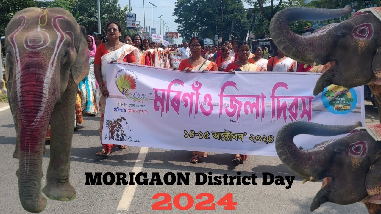 MORIGAON District Day !! 2024 !! মৰিগাঁও জিলা দিৱস ২০২৪ !!❤️🎉🎉❤️!! আমাৰ মৰিগাঁও!!