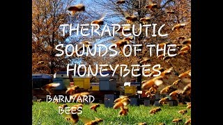 Therapeutic Treatment Sounds Of The Honeybees