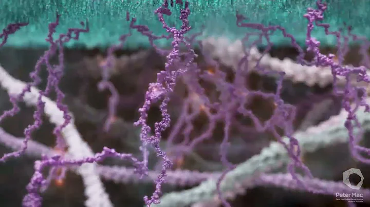 CAR-T Cells: Engineered Cancer Killers, Mechanism of Action