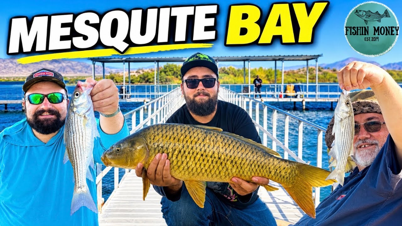We Tried A New Fishing Spot On Lake Havasu… THIS Happened!