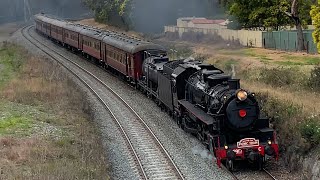 5917 & 4836 on the Robertson Picnic Train - 16th August 2025