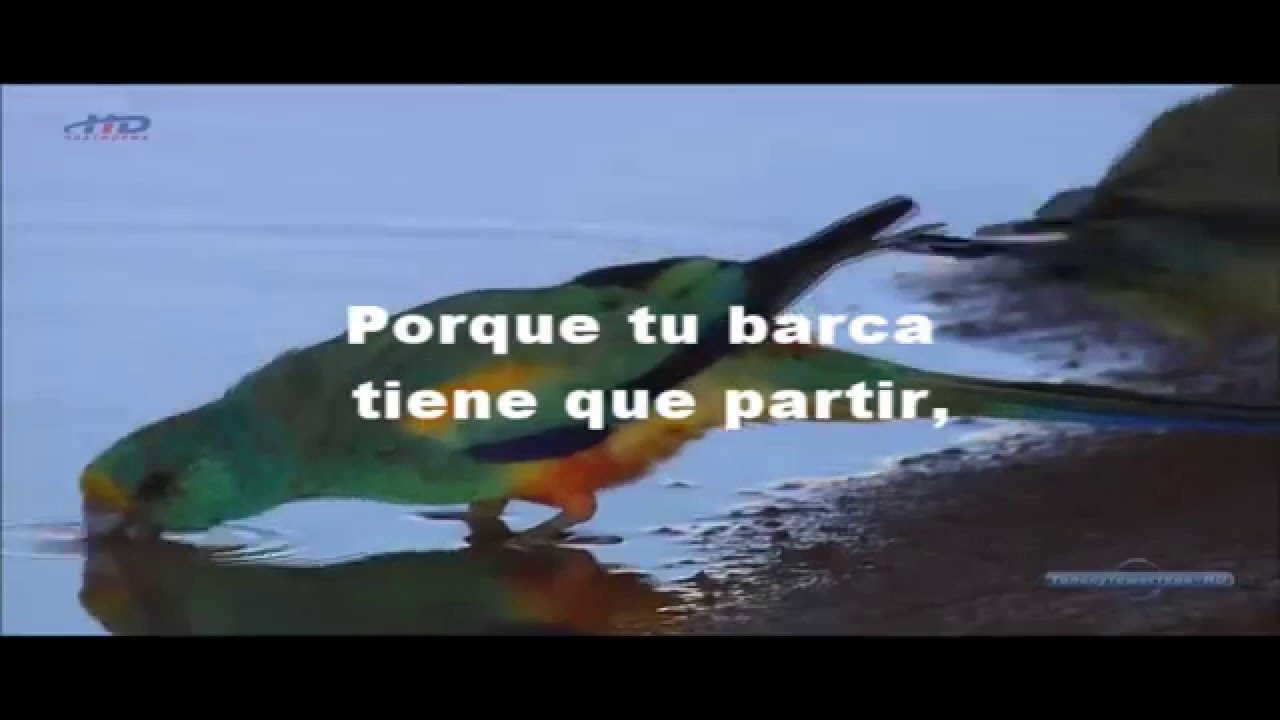 LA BARCA / (estilo Luis Miguel) /Angel Ceballos Vázquez (con letra)