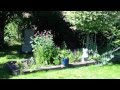 Pacific Northwest USA-Master Gardeners series --Garden Tour Back yard 7/15/13