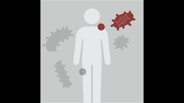 Beginner Microbiome Analysis 2024 | 03: Microbiome Statistics and Visualizations