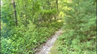 [ASMR - Nature Sounds] Hiking Massasoit State Park. Taunton, Massachusetts.