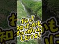 秋こそトップ！壊れたルアーをハネモノにしてバスを釣る動画 #釣り #ショート #ゆっくり #五三川