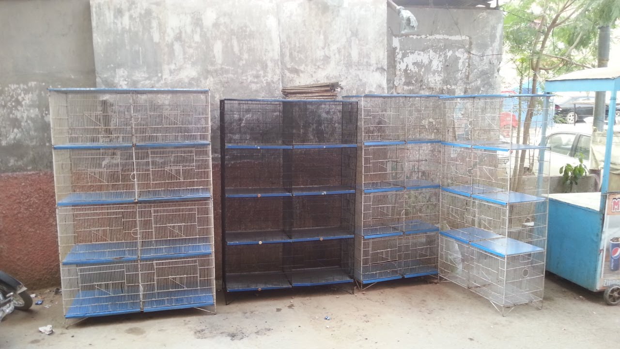 Used Cage Shop in Karachi YouTube