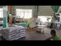 Packing machine and column palletizer production line