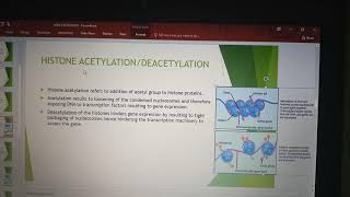 Histone acetylation and deacetylation