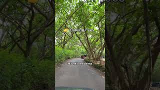 Download Lagu Planning a trip to Wai'ānapanapa State Park? Here's what you need to know! 🌋 MP3