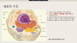 미용사필기1 세포의구조 개념정리 2024 07 28 20 56 29 935
