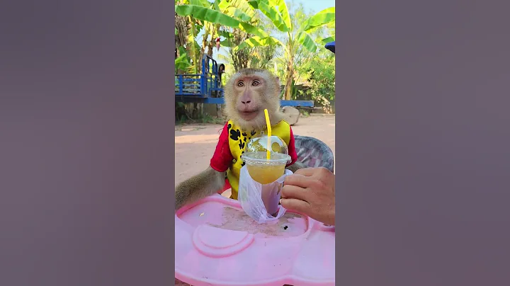 Best SokYaa Love Drinking Sugarcane Juice #shorts