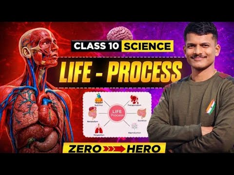 What isLife Process? | Class 10 Science Biology Chapter 6 |Class 10 ...